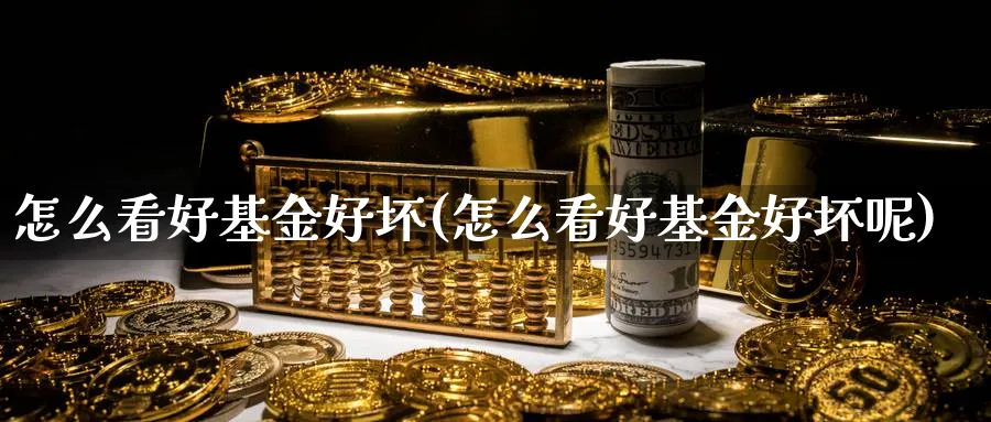 怎么看好基金好坏(怎么看好基金好坏呢)_https://www.jxbjjgc.com_个股_第1张