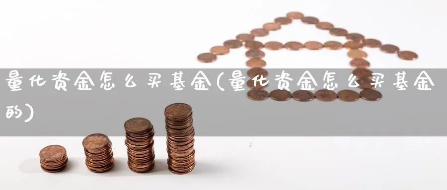 量化资金怎么买基金(量化资金怎么买基金的)_https://www.jxbjjgc.com_港股_第1张