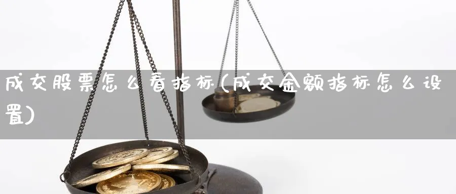 成交股票怎么看指标(成交金额指标怎么设置)_https://www.jxbjjgc.com_美股_第1张