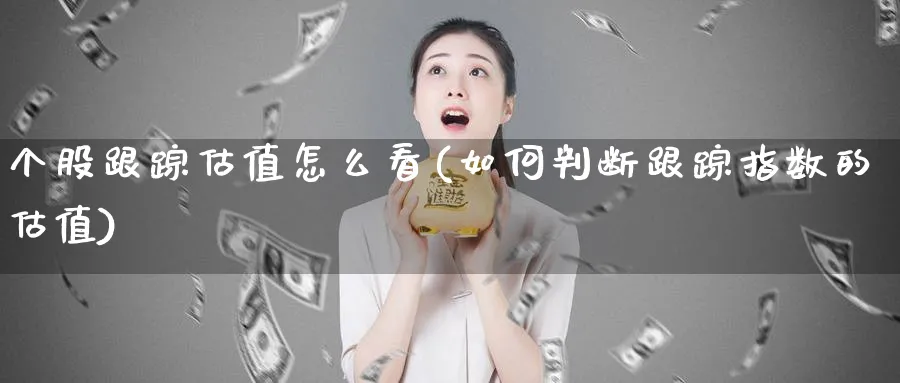 个股跟踪估值怎么看(如何判断跟踪指数的估值)_https://www.jxbjjgc.com_港股_第1张