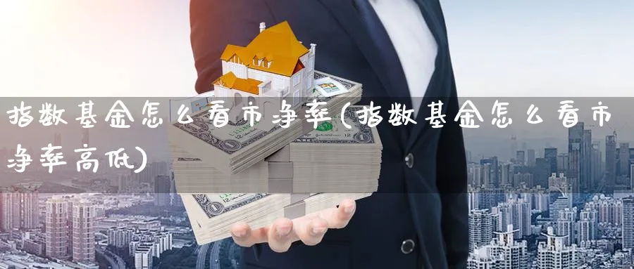 指数基金怎么看市净率(指数基金怎么看市净率高低)_https://www.jxbjjgc.com_个股_第1张