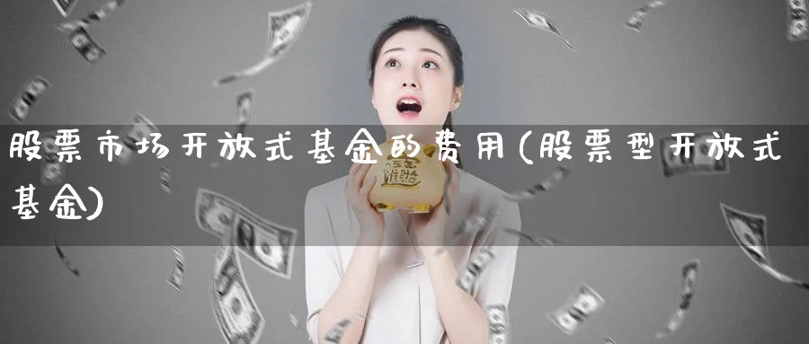 股票市场开放式基金的费用(股票型开放式基金)_https://www.jxbjjgc.com_个股_第1张