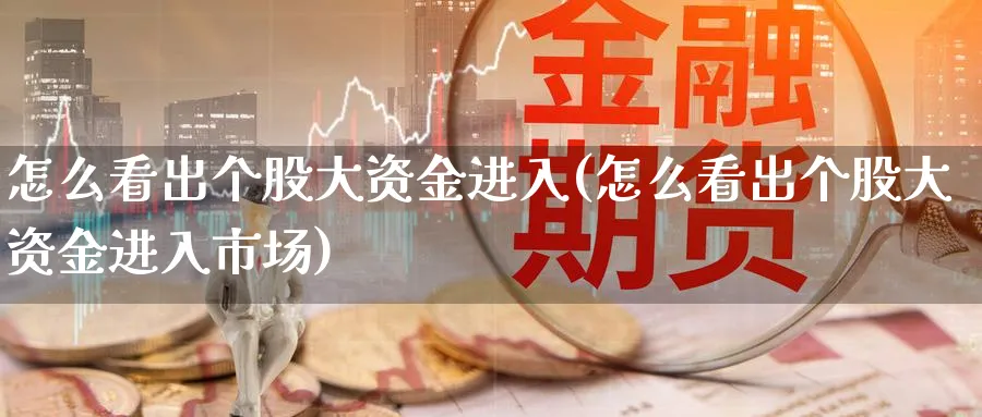 怎么看出个股大资金进入(怎么看出个股大资金进入市场)_https://www.jxbjjgc.com_港股_第1张