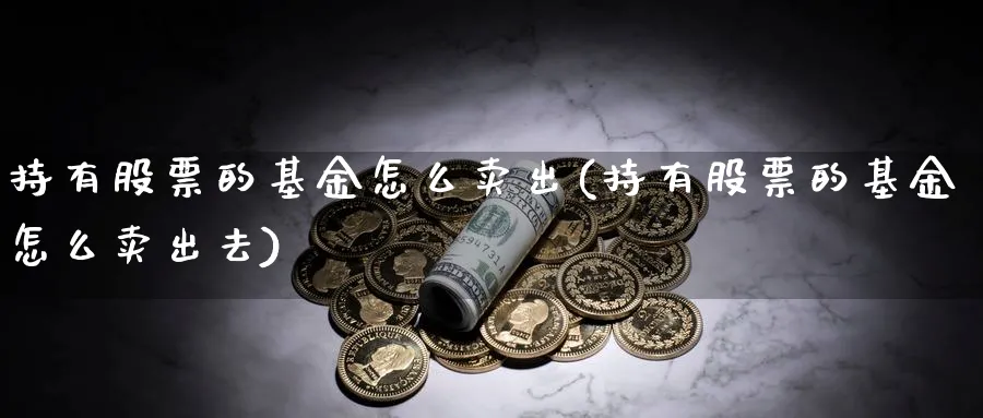 持有股票的基金怎么卖出(持有股票的基金怎么卖出去)_https://www.jxbjjgc.com_个股_第1张