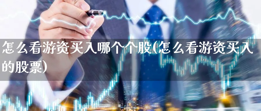 怎么看游资买入哪个个股(怎么看游资买入的股票)_https://www.jxbjjgc.com_财经百科_第1张