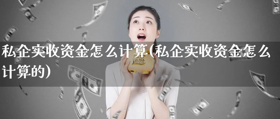 私企实收资金怎么计算(私企实收资金怎么计算的)_https://www.jxbjjgc.com_港股_第1张