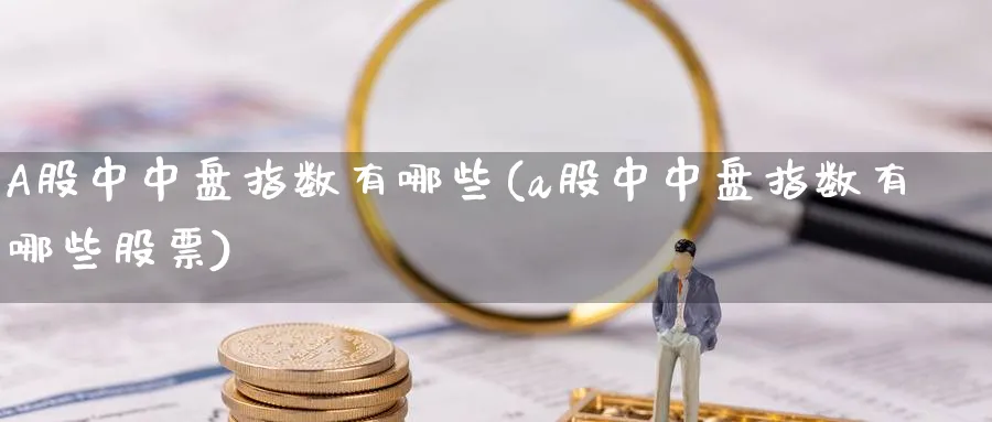 A股中中盘指数有哪些(a股中中盘指数有哪些股票)_https://www.jxbjjgc.com_新股_第1张