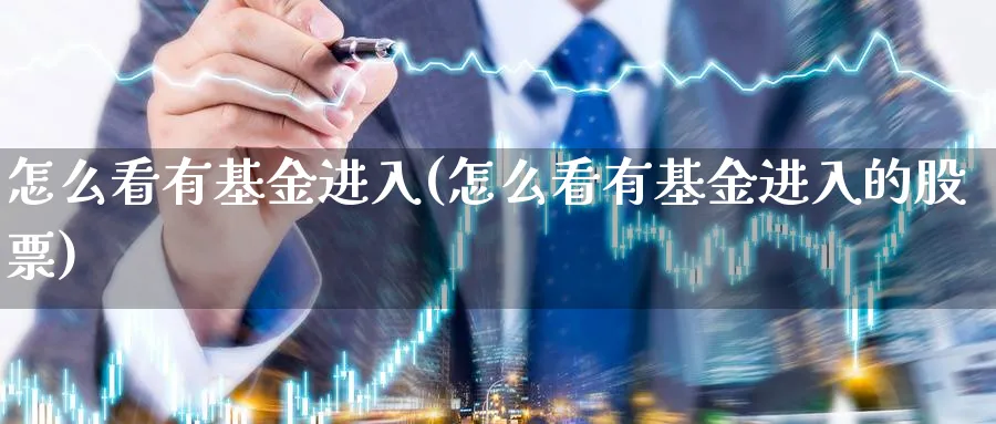 怎么看有基金进入(怎么看有基金进入的股票)_https://www.jxbjjgc.com_个股_第1张