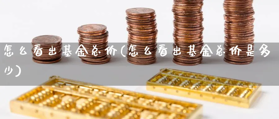 怎么看出基金总价(怎么看出基金总价是多少)_https://www.jxbjjgc.com_个股_第1张