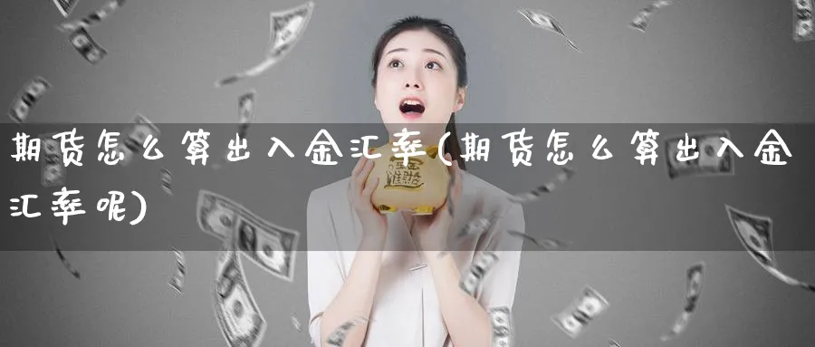 期货怎么算出入金汇率(期货怎么算出入金汇率呢)_https://www.jxbjjgc.com_股吧_第1张