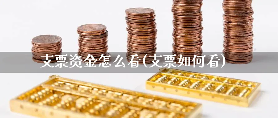 支票资金怎么看(支票如何看)_https://www.jxbjjgc.com_财经百科_第1张