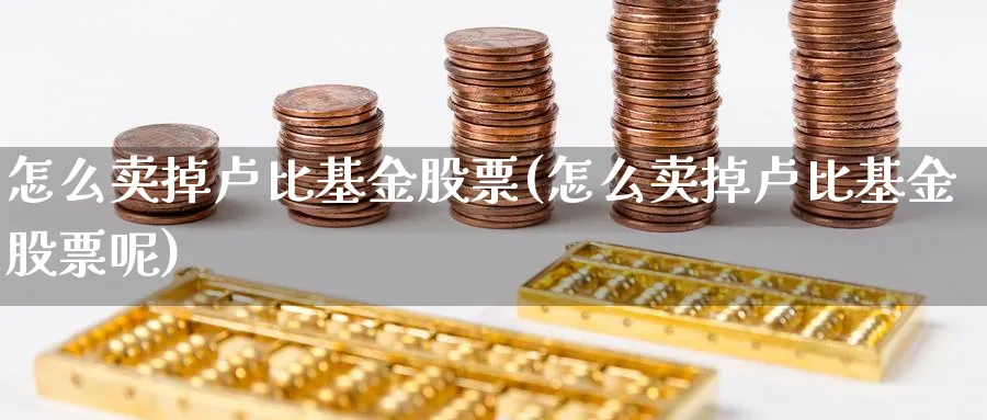 怎么卖掉卢比基金股票(怎么卖掉卢比基金股票呢)_https://www.jxbjjgc.com_个股_第1张