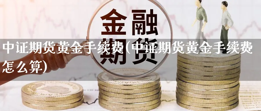 中证期货黄金手续费(中证期货黄金手续费怎么算)_https://www.jxbjjgc.com_美股_第1张