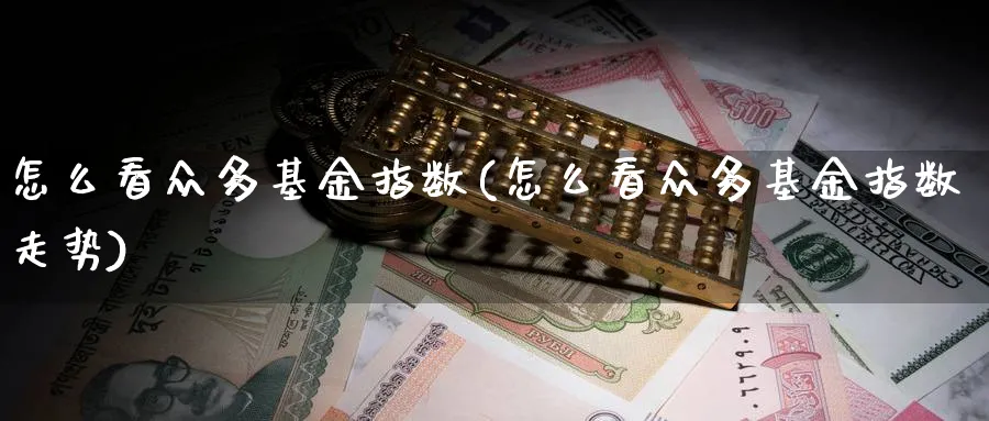 怎么看众多基金指数(怎么看众多基金指数走势)_https://www.jxbjjgc.com_个股_第1张