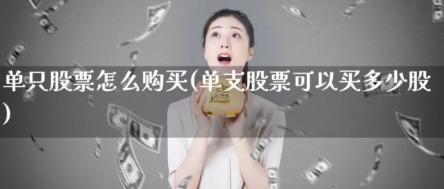 单只股票怎么购买(单支股票可以买多少股)_https://www.jxbjjgc.com_美股_第1张