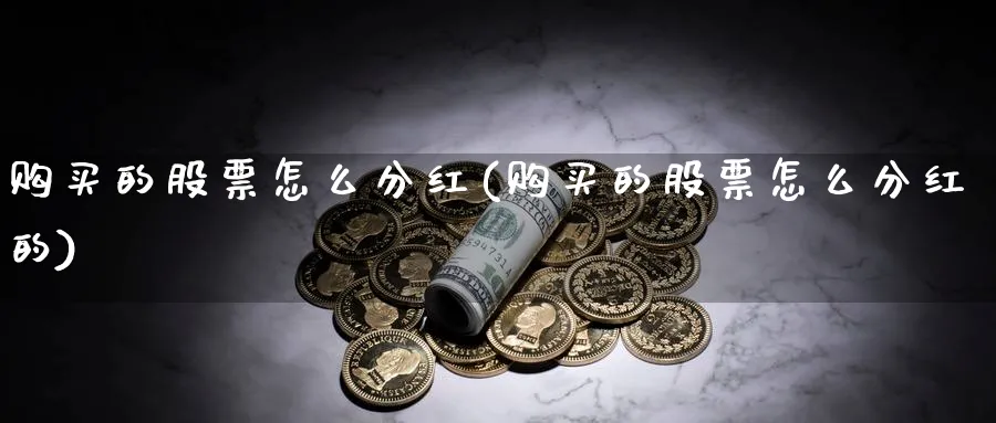 购买的股票怎么分红(购买的股票怎么分红的)_https://www.jxbjjgc.com_美股_第1张