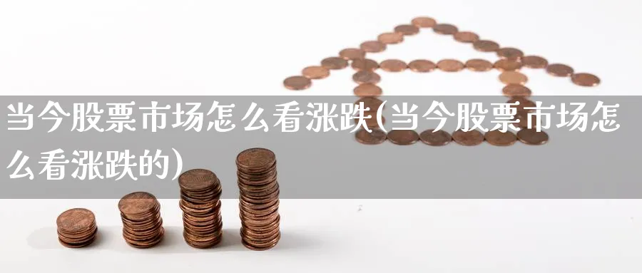 当今股票市场怎么看涨跌(当今股票市场怎么看涨跌的)_https://www.jxbjjgc.com_美股_第1张