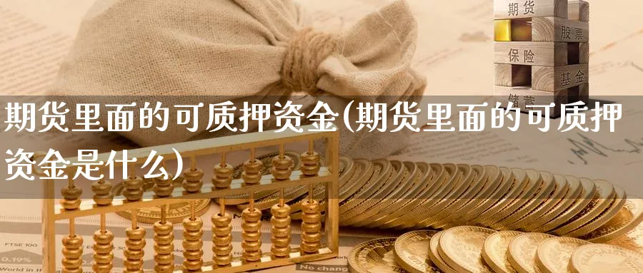 期货里面的可质押资金(期货里面的可质押资金是什么)_https://www.jxbjjgc.com_A股_第1张