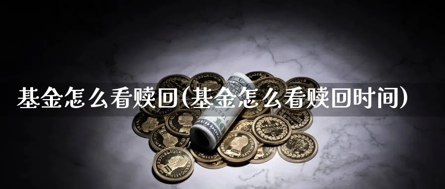 基金怎么看赎回(基金怎么看赎回时间)_https://www.jxbjjgc.com_个股_第1张