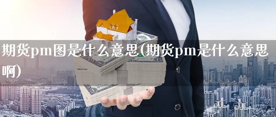 期货pm图是什么意思(期货pm是什么意思啊)_https://www.jxbjjgc.com_美股_第1张