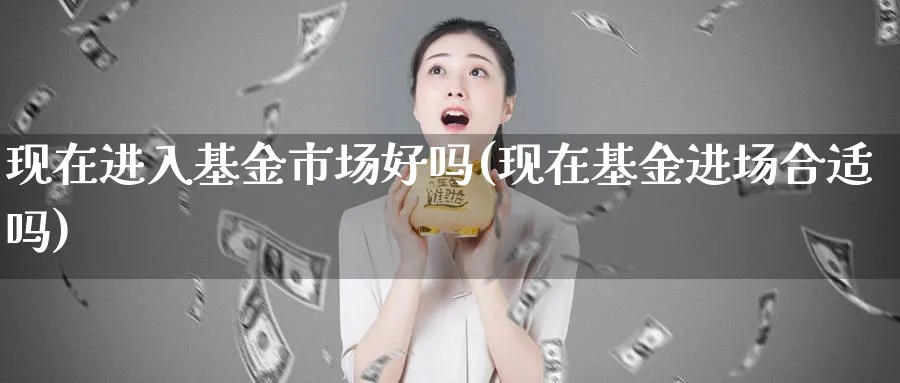 现在进入基金市场好吗(现在基金进场合适吗)_https://www.jxbjjgc.com_个股_第1张