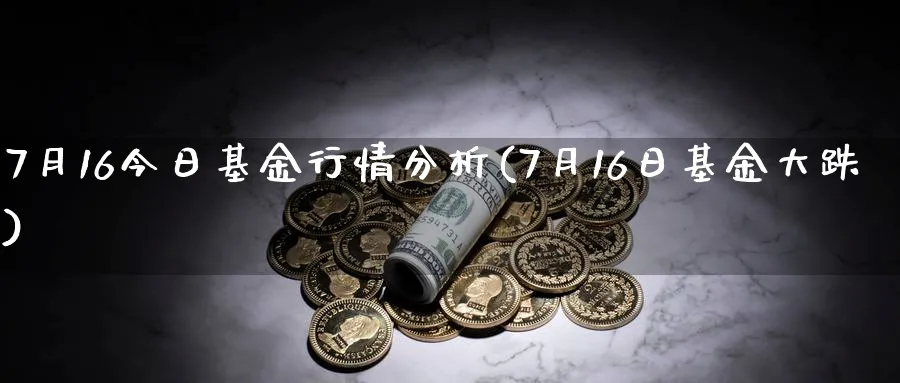 7月16今日基金行情分析(7月16日基金大跌)_https://www.jxbjjgc.com_个股_第1张