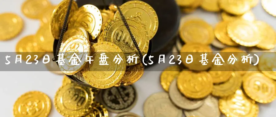 5月23日基金午盘分析(5月23日基金分析)_https://www.jxbjjgc.com_个股_第1张