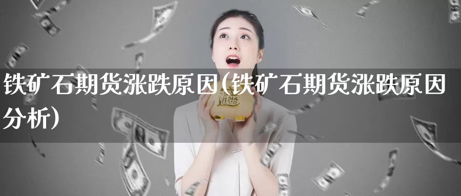 铁矿石期货涨跌原因(铁矿石期货涨跌原因分析)_https://www.jxbjjgc.com_财经百科_第1张