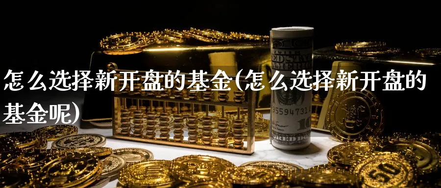 怎么选择新开盘的基金(怎么选择新开盘的基金呢)_https://www.jxbjjgc.com_个股_第1张