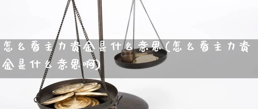 怎么看主力资金是什么意思(怎么看主力资金是什么意思啊)_https://www.jxbjjgc.com_财经百科_第1张