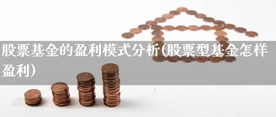 股票基金的盈利模式分析(股票型基金怎样盈利)_https://www.jxbjjgc.com_个股_第1张