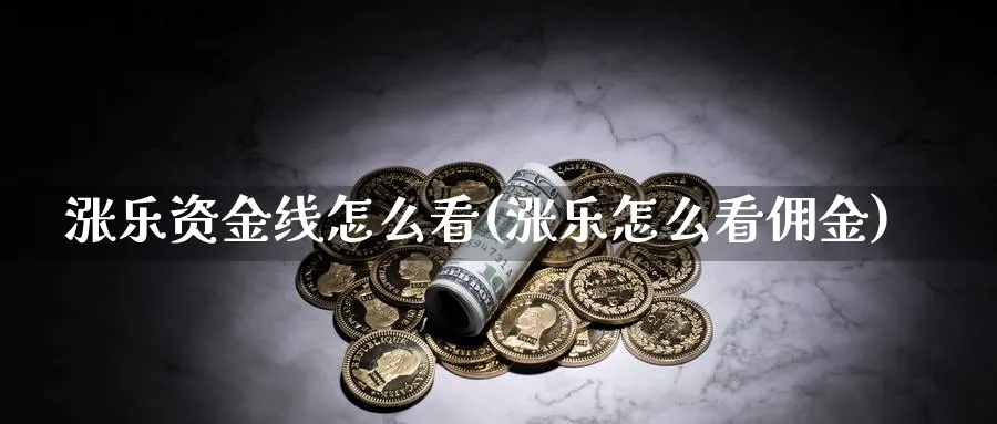 涨乐资金线怎么看(涨乐怎么看佣金)_https://www.jxbjjgc.com_财经百科_第1张