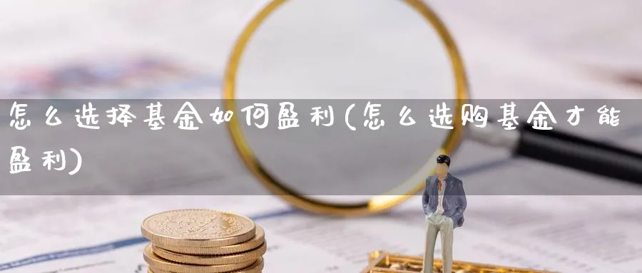 怎么选择基金如何盈利(怎么选购基金才能盈利)_https://www.jxbjjgc.com_个股_第1张