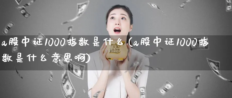 a股中证1000指数是什么(a股中证1000指数是什么意思啊)_https://www.jxbjjgc.com_新股_第1张