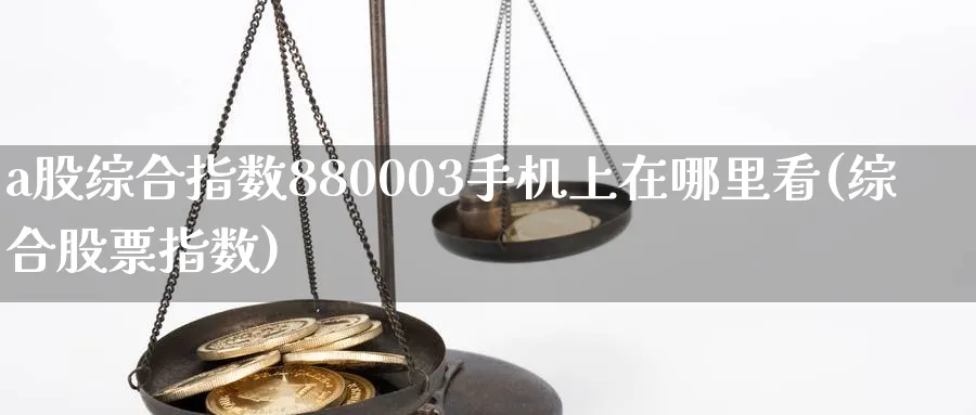 a股综合指数880003手机上在哪里看(综合股票指数)_https://www.jxbjjgc.com_新股_第1张