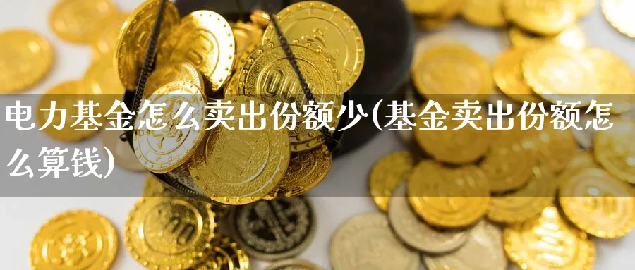 电力基金怎么卖出份额少(基金卖出份额怎么算钱)_https://www.jxbjjgc.com_个股_第1张