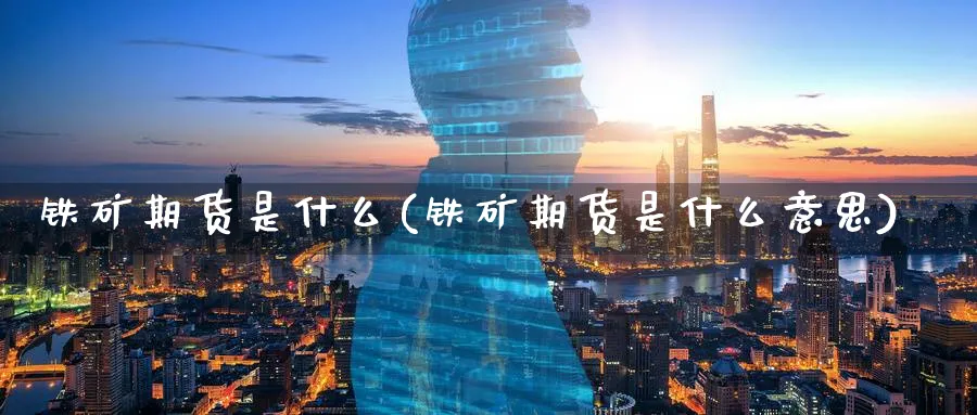 铁矿期货是什么(铁矿期货是什么意思)_https://www.jxbjjgc.com_个股_第1张