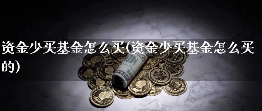 资金少买基金怎么买(资金少买基金怎么买的)_https://www.jxbjjgc.com_港股_第1张